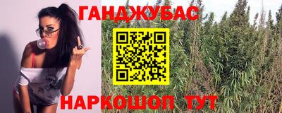 ECSTASY Лесосибирск