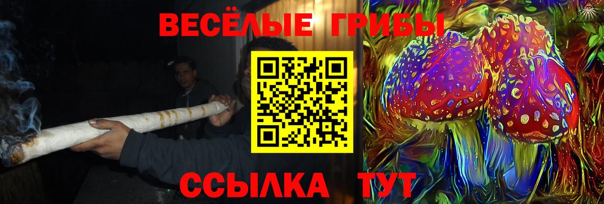 Галлюциногенные грибы GOLDEN TEACHER  Вход с VPN  Галлюциногенные грибы Psilocybine cubensis  Ефремов 